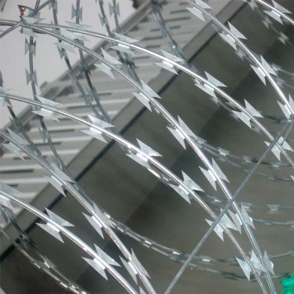 監獄刺繩圍墻網 圍墻防爬刺刀網詳細介紹圖片1 監獄刺繩圍墻網 圍墻防爬刺刀網詳細介紹圖片1