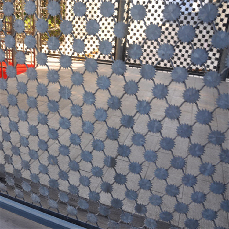 監(jiān)獄梅花刺鐵絲網(wǎng)圖片3 監(jiān)獄梅花刺鐵絲網(wǎng)圖片3