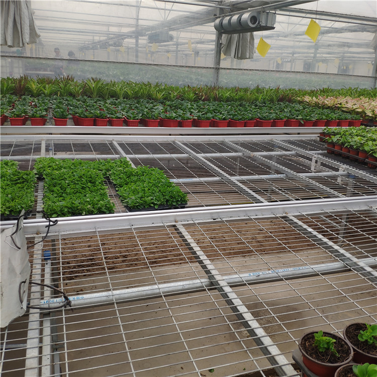 溫室苗圃網圖片3