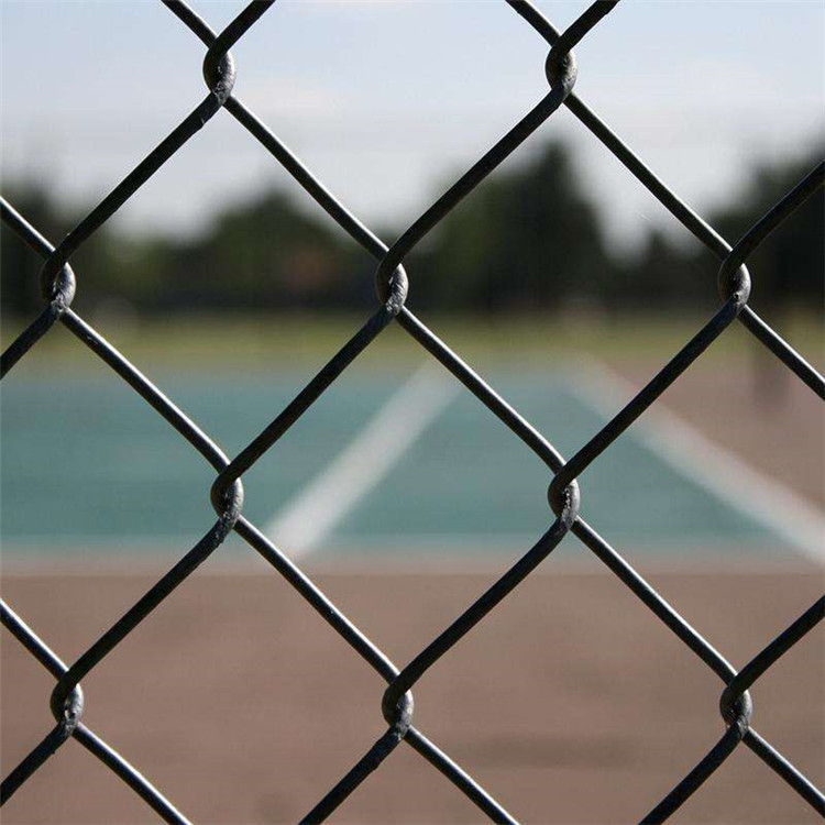 網球場圍網圖片4