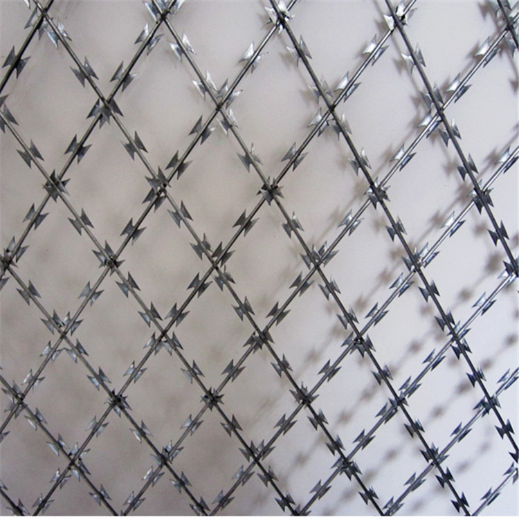 加高刀刺網鋼網墻圖片1
