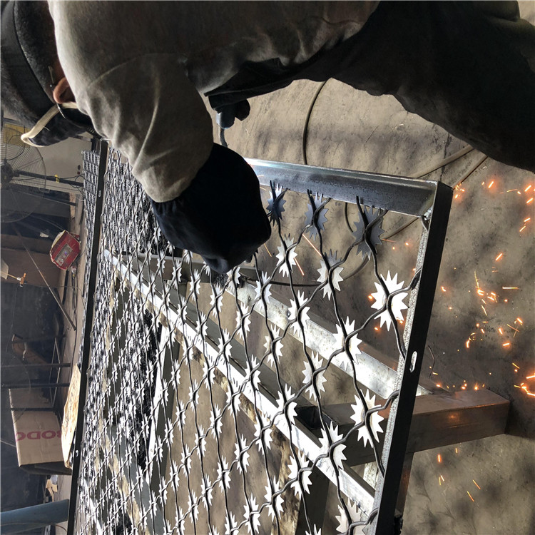 場地梅花刺圍網圖片3