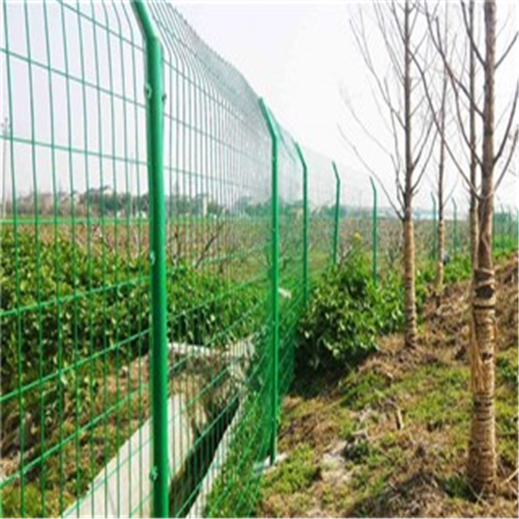魚塘防護網圖片3