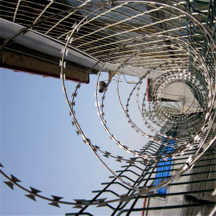 別墅防盜刀刺網 圖片4