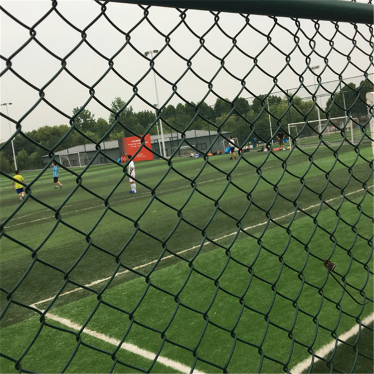 包塑勾花護欄網圖片1 包塑勾花護欄網圖片1