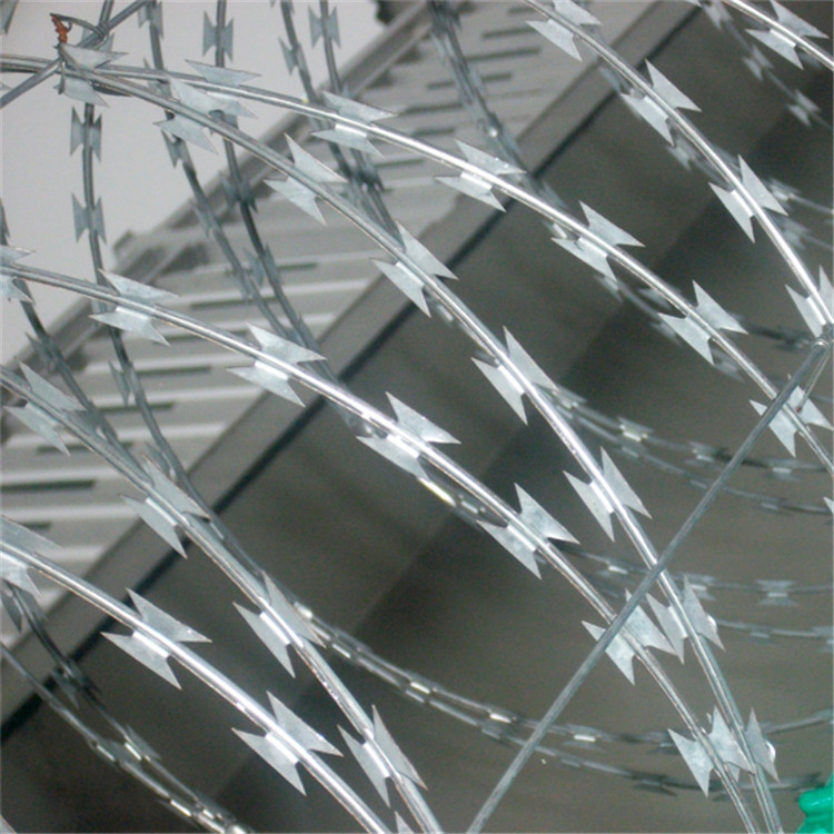 鍍鋅滾刀網圖片3 鍍鋅滾刀網圖片3