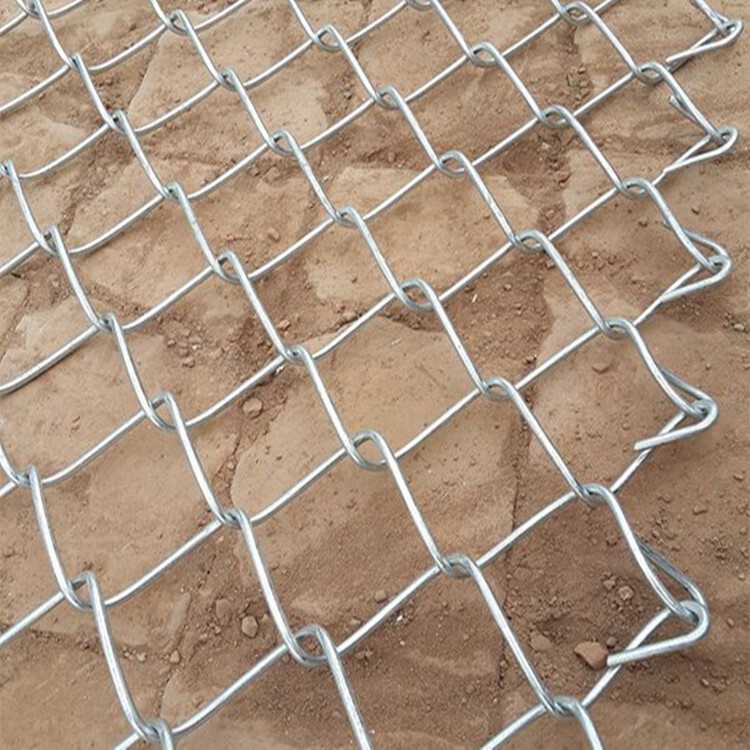 熱鍍鋅勾花網(wǎng)護(hù)欄圖片3 熱鍍鋅勾花網(wǎng)護(hù)欄圖片3