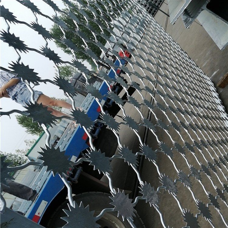 監(jiān)獄圍墻隔離網(wǎng)圖片4 監(jiān)獄圍墻隔離網(wǎng)圖片4